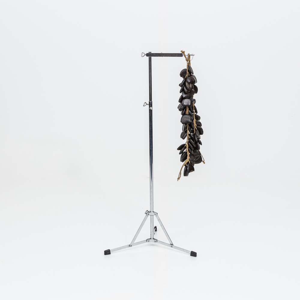 chims pepins de courges.jpg